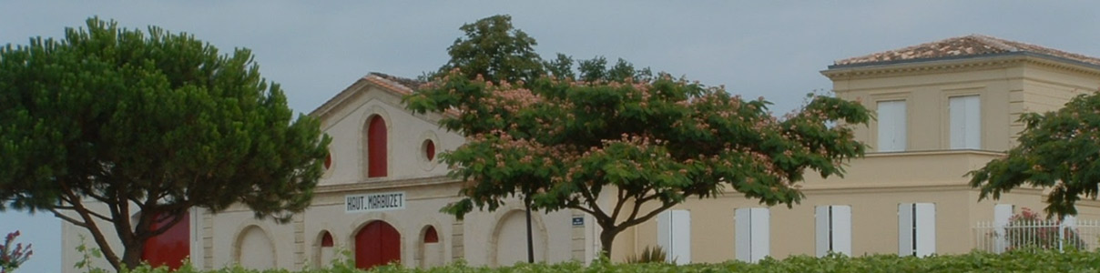 Productor: Château Haut-Marbuzet