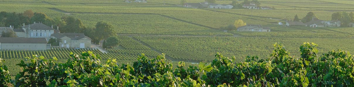 Productor: Château Larcis Ducasse
