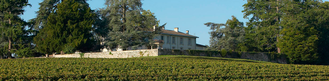 Productor: Château Pey La Tour
