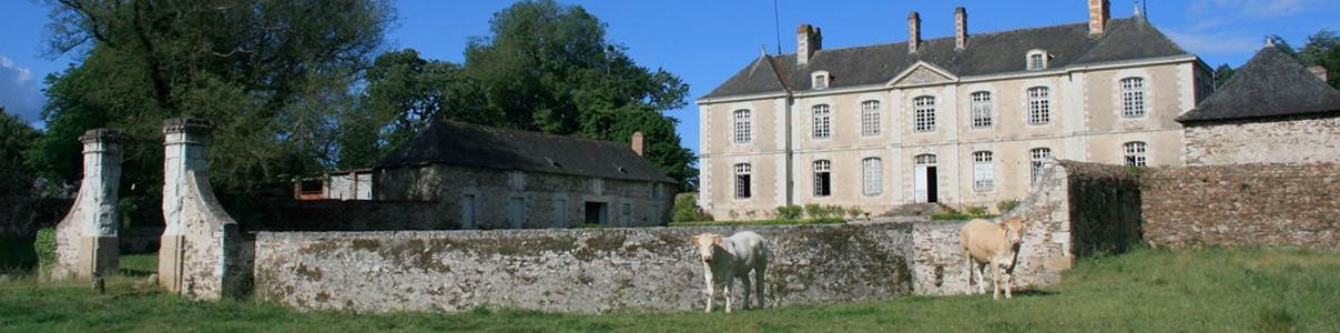Productor: Château de Rochefort