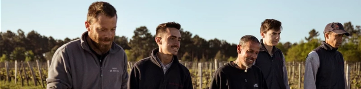 Productor: Chateau de Fieuzal 