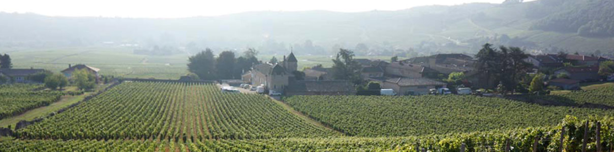 Productor: Château-Fuissé