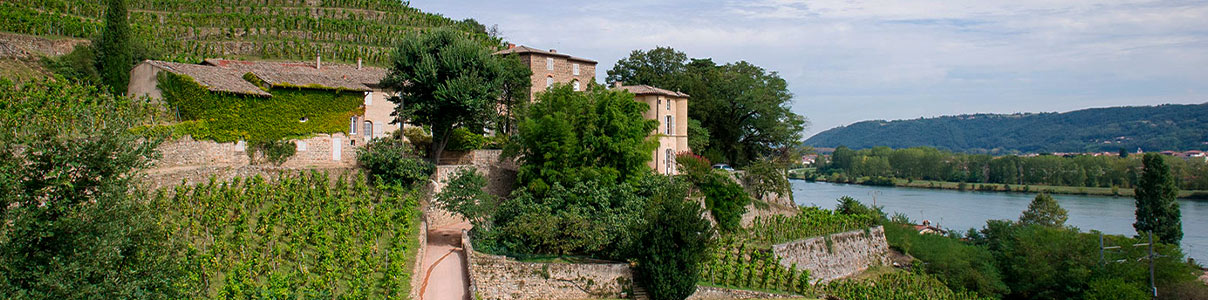 Productor: Château-Grillet