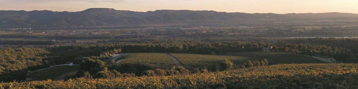 Productor: Château la Verrerie