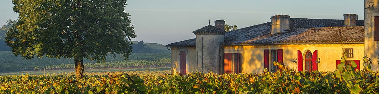Productor: Château Sigalas Rabaud