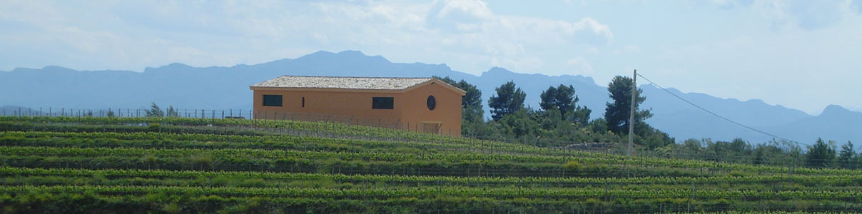 Productor: Clos Galena