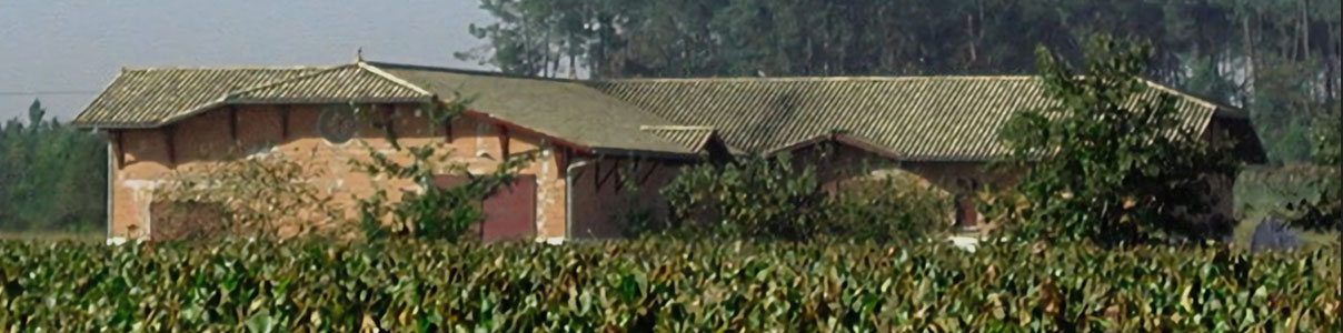 Productor: Clos Marsalette