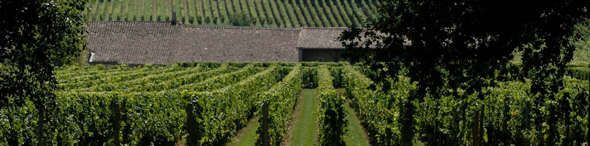 Productor: Clos De L'Oratoire