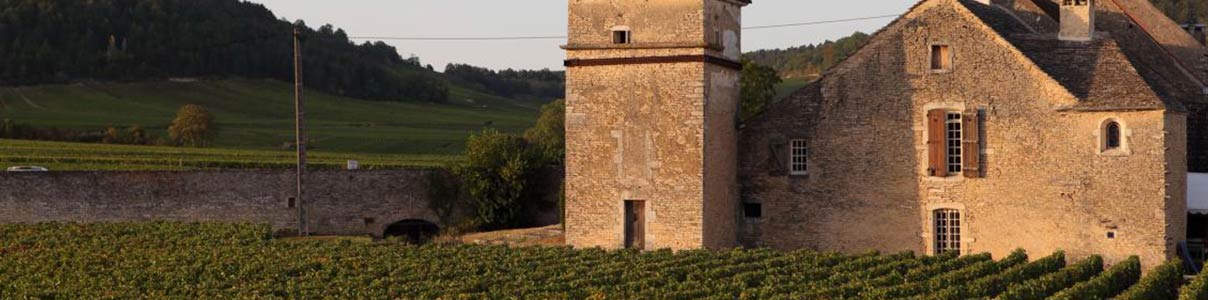 Productor: Clos du Moulin aux Moines