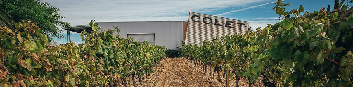 Productor: Bodegas Colet