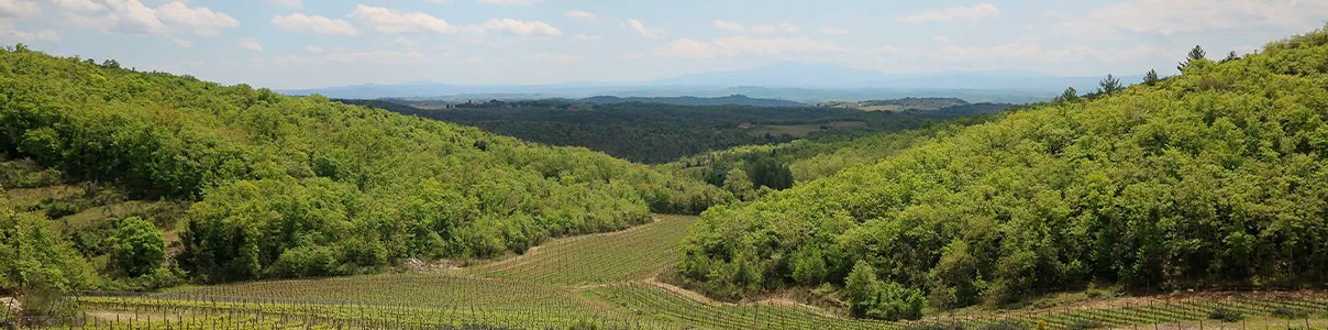 Productor: Colombaio di Cencio