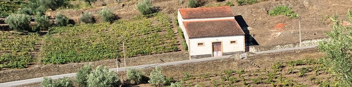 Productor: Companhia de Vinhos Invencível