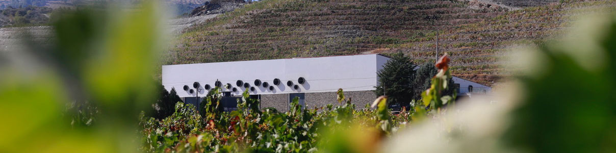 Productor: Conceito Wines