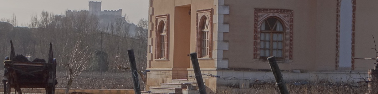 Productor: Bodegas Convento de Las Claras