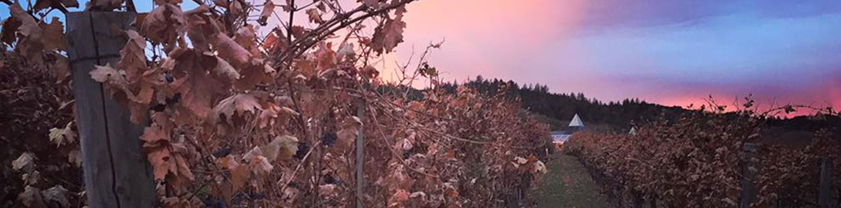 Productor: Francis Ford Coppola Winery