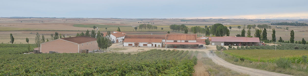 Productor: Dehesa La Granja