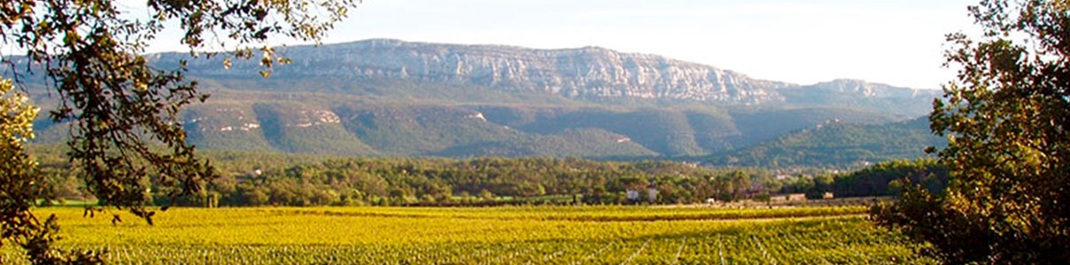 Productor: Domaine de Triennes