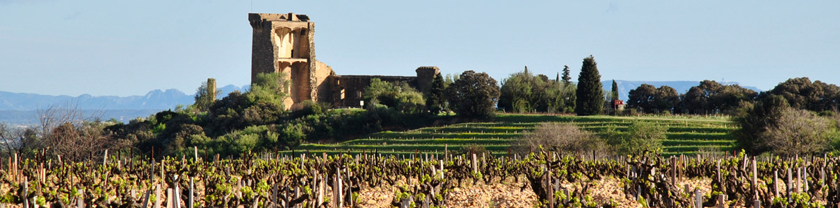 Productor: Domaine Duseigneur