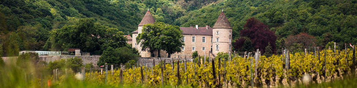 Productor: Domaine Guillot-Broux