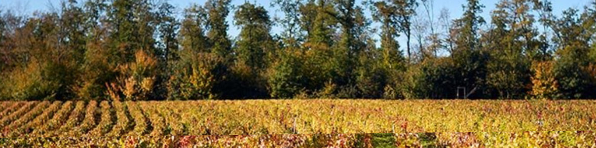 Productor: Domaine Hoffmann-Jayer