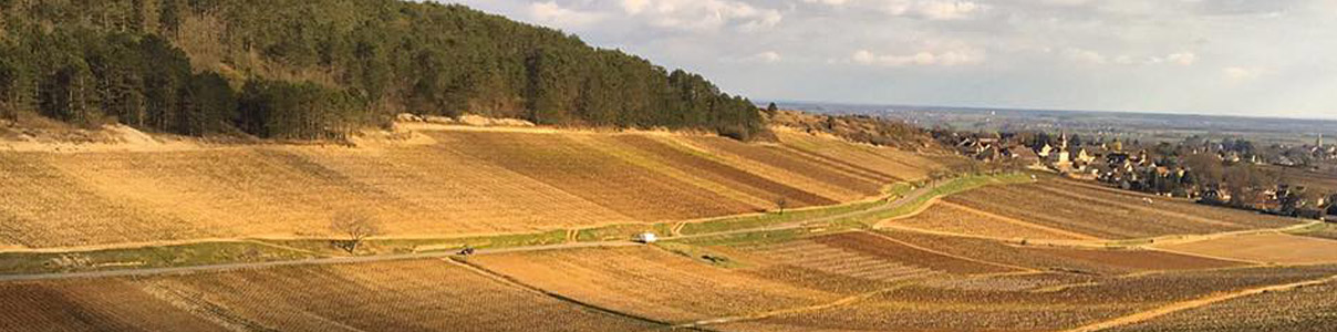 Productor: Domaine Jean Vaudoisey