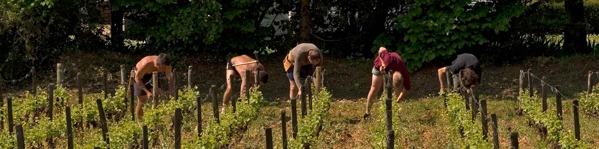 Productor: Domaine de Bellene