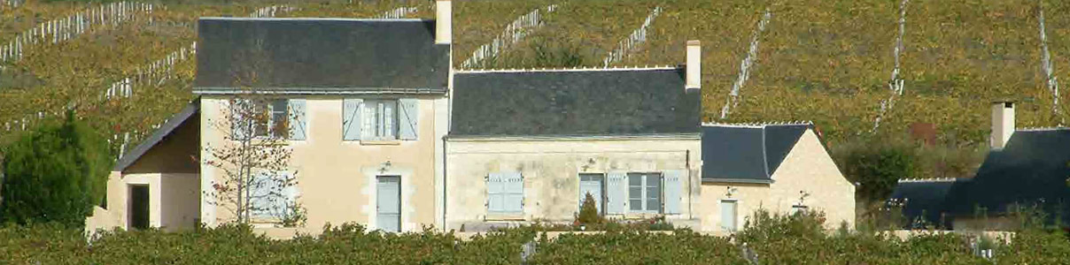 Productor: Domaine de la Butte