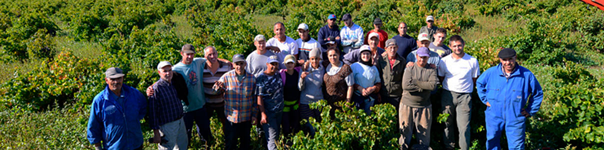 Productor: Domaine de la Janasse