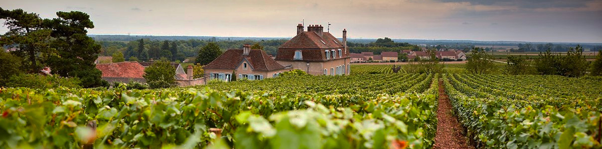 Productor: Domaine de l'Arlot