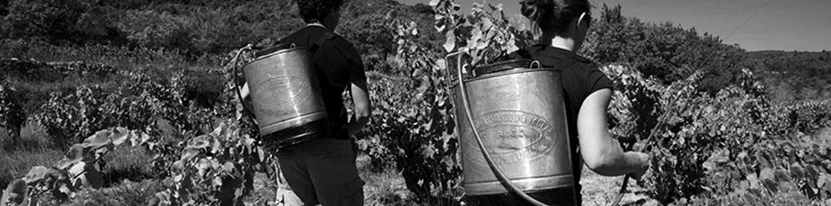 Productor: Domaine des Deux Clés