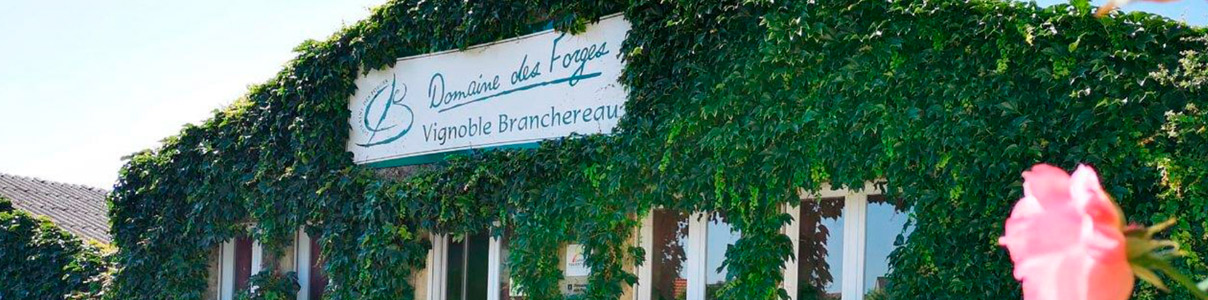 Productor: Domaine des Forges