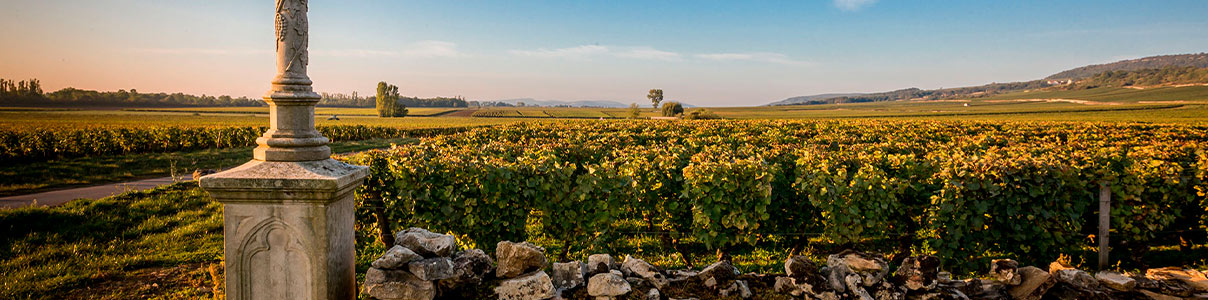 Productor: Domaine François Mikulski