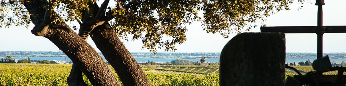 Productor: Domaine Gassier