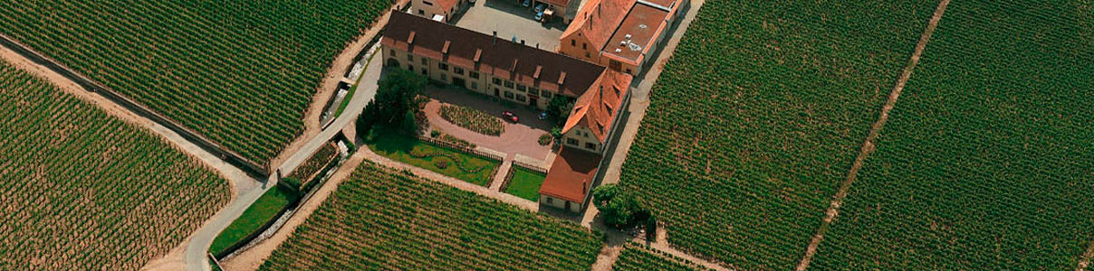 Productor: Domaine Weinbach