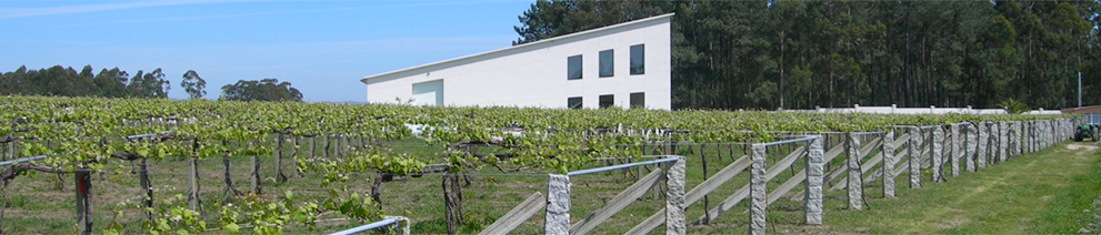 Productor: Bodegas y Viñedos Don Olegario