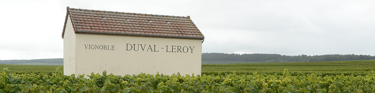 Productor: Duval-Leroy