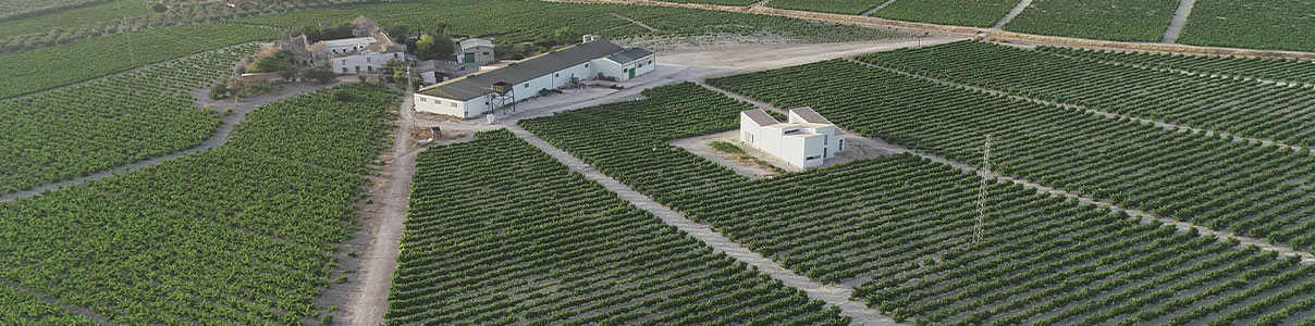 Productor: Bodegas El Monte