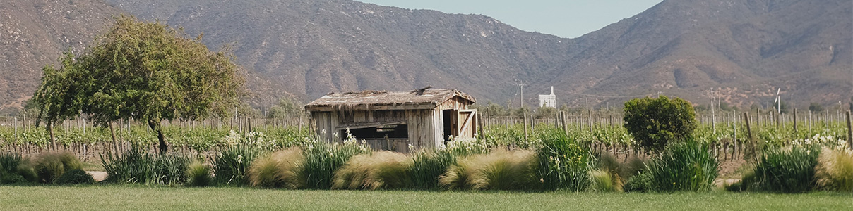 Productor: Emiliana Organic Vineyards