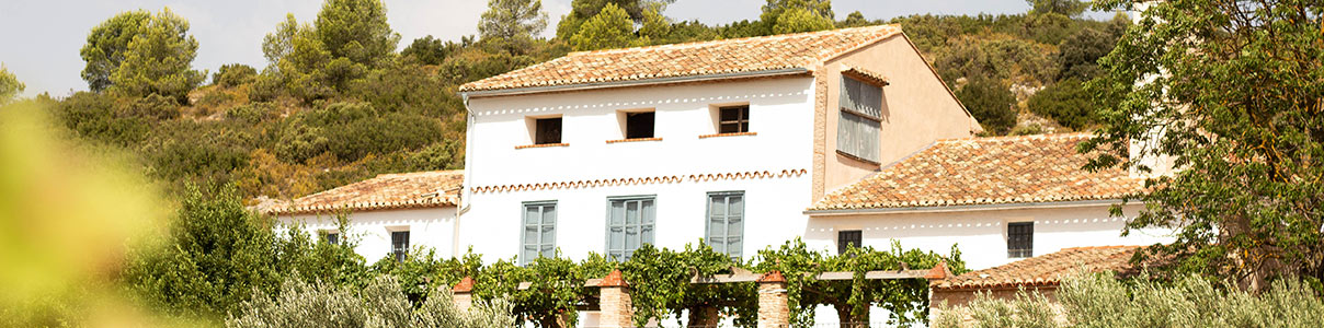 Productor: Bodegas Enguera