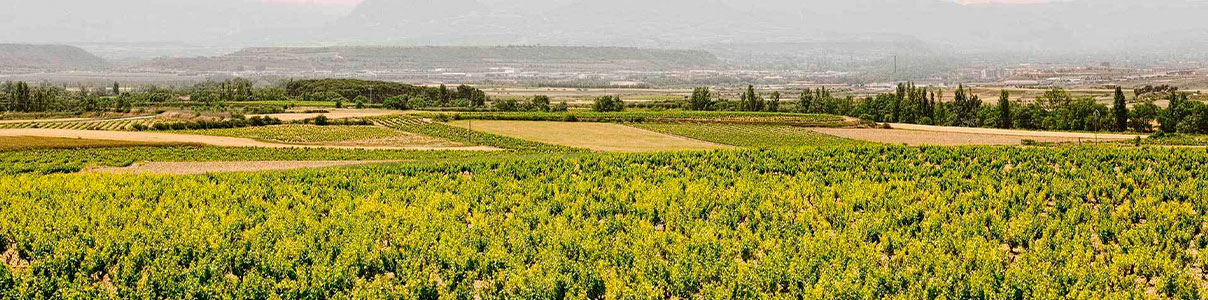 Productor: Envite Wines
