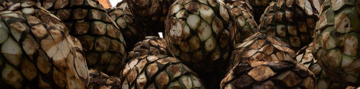 Productor: Espolón Tequila