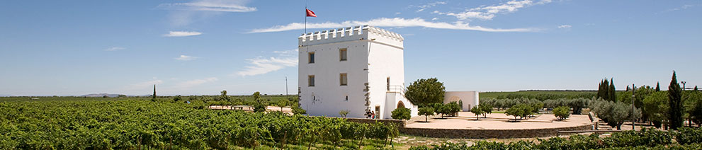 Productor: Herdade do Esporão