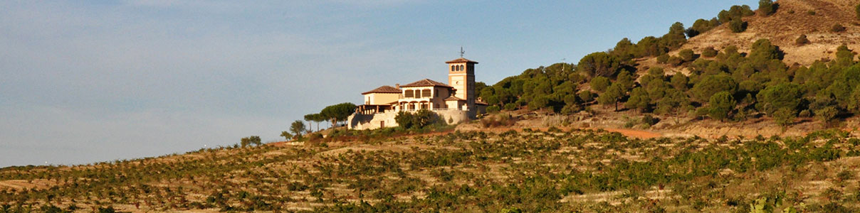 Productor: Bodegas Piedra