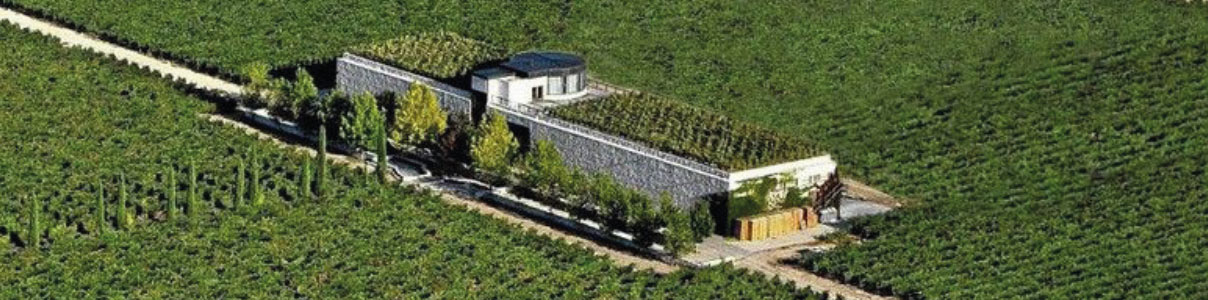 Productor: Finca Rodma