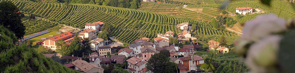 Productor: Azienda Vinicola Follador