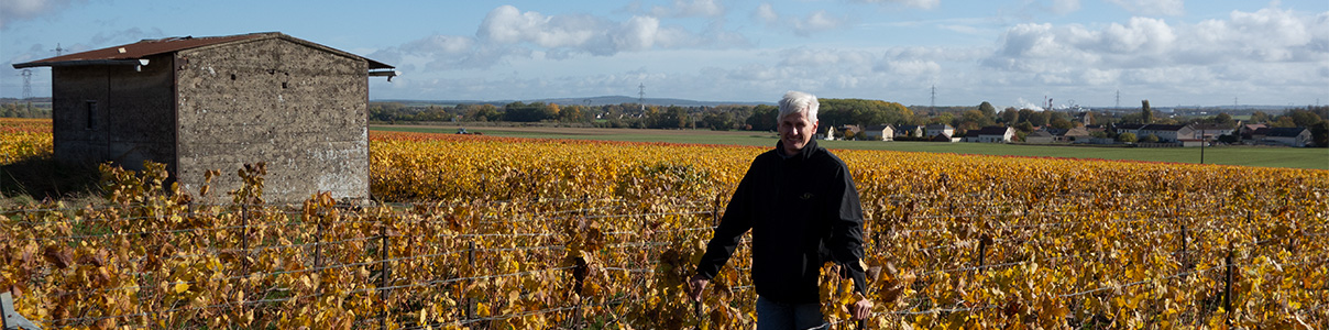 Productor: Champagne François Chaumont