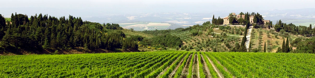 Productor: Frescobaldi