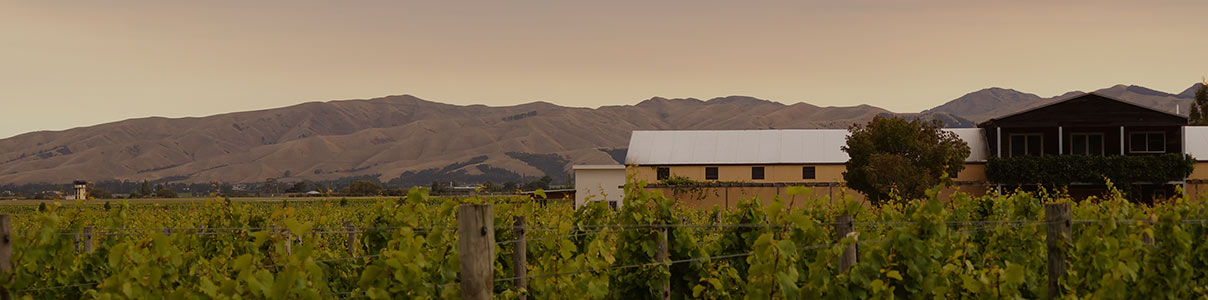 Productor: Fromm Winery