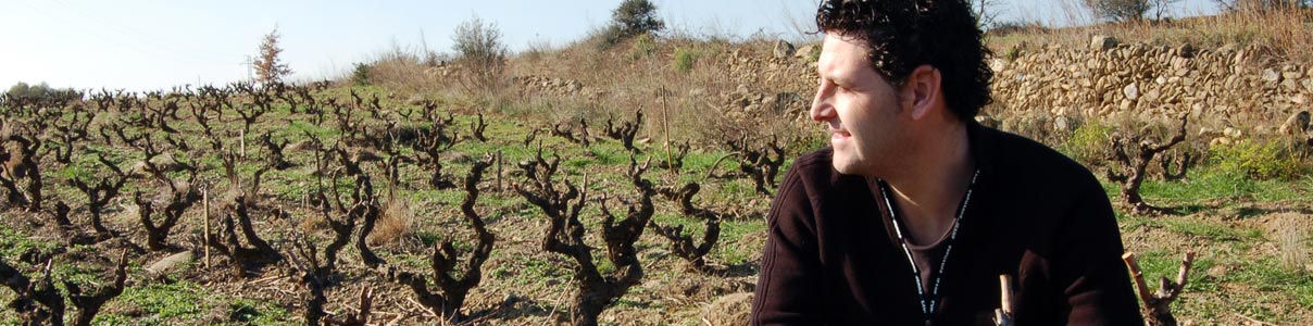 Productor: Gallina de Piel Wines
