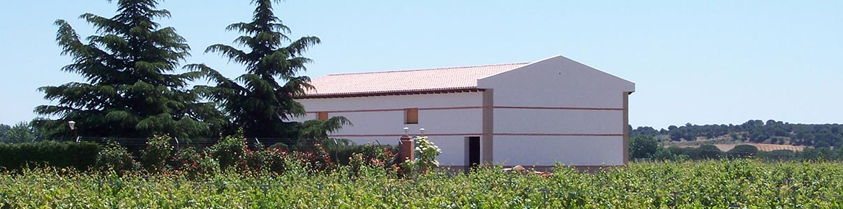 Productor: Bodegas Gil Luna